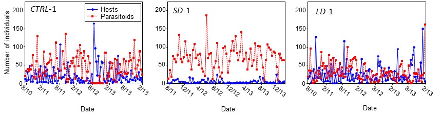 LDSD time series